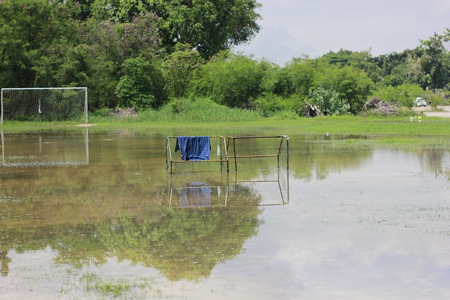 罗克的蜕变 罗克的蜕变