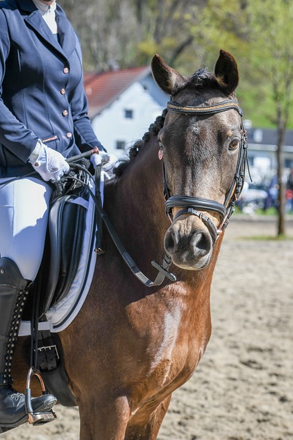 的黄牌数是 的黄牌数是