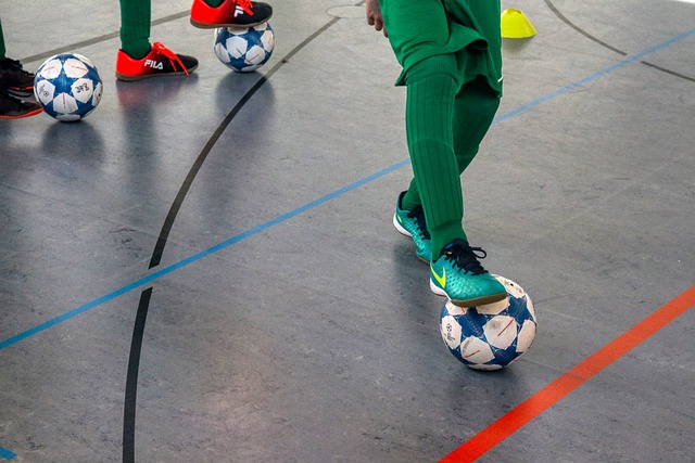 的滑雪场 的滑雪场