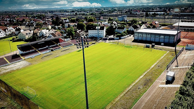 明年年初管 明年年初管