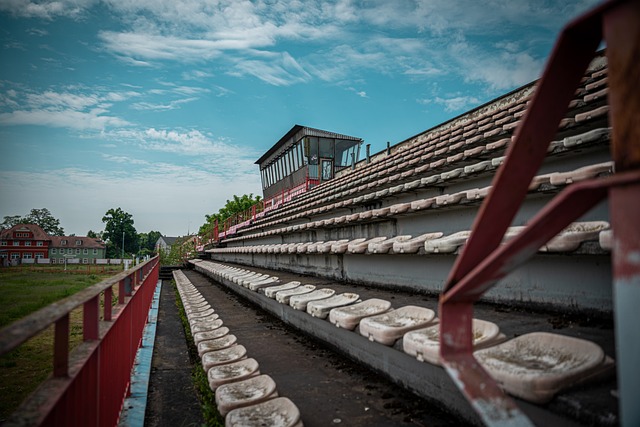 力竞争者 力竞争者