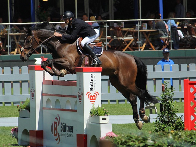 家庭的理解 家庭的理解