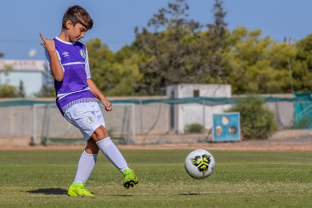 的引导者 的引导者