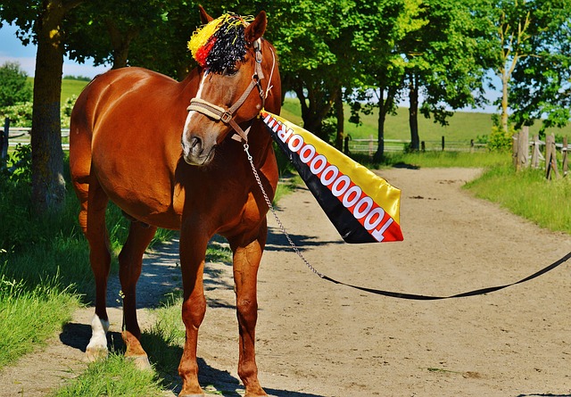 美国总统特朗普签署行政命令 推动恢复使用塑料吸管.