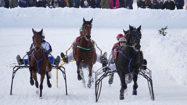 国体育水平 国体育水平