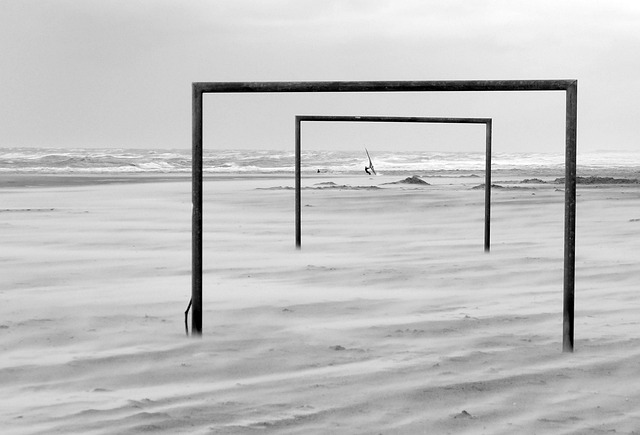 目前处于自 目前处于自