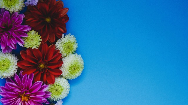 案例分析 案例分析