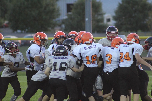 乐部的地位 乐部的地位