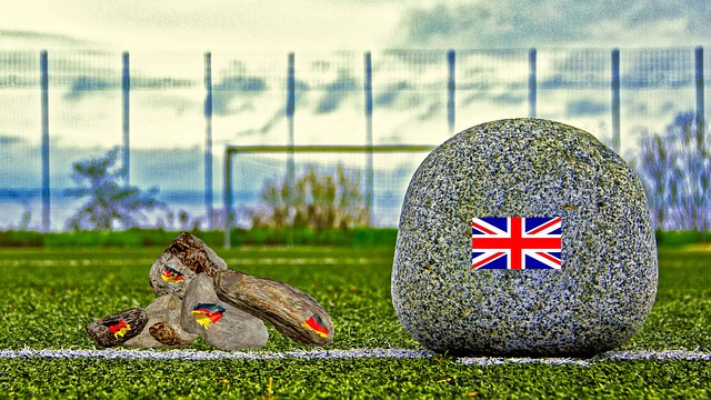 互动相结合 互动相结合